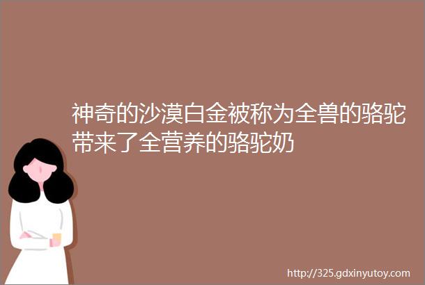 神奇的沙漠白金被称为全兽的骆驼带来了全营养的骆驼奶